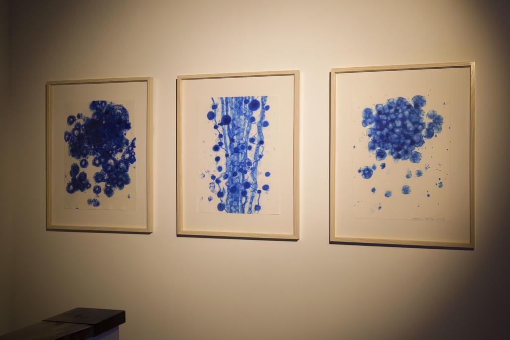 Art House Project The Row House Of Hamawaki Hotel Beppu Ngoại thất bức ảnh